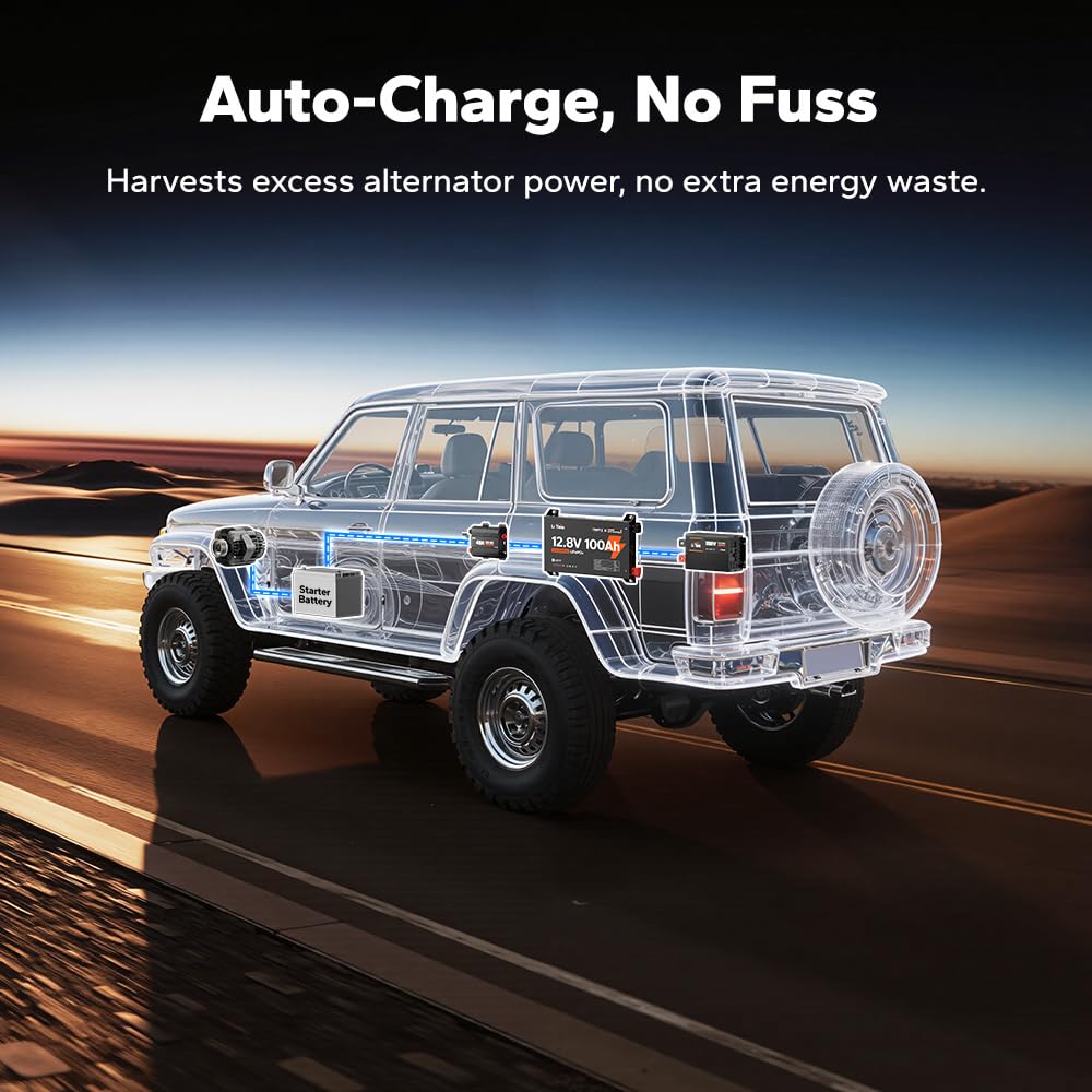 12V 100Ah Self-Heating LiFePO4 Battery D982235