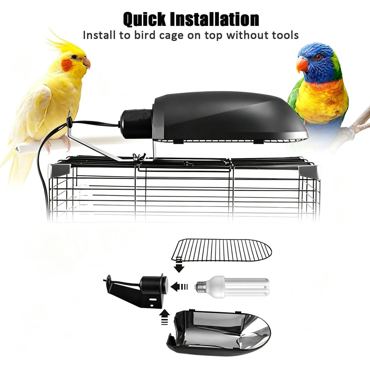 Bird Cage Light Fixture Combo Kit with Bulb Z6540