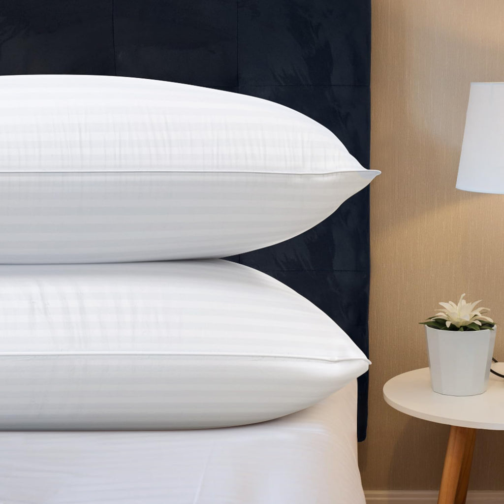 Queen Size Microfiber Bed Pillows Set of 2 O516