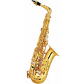 Alto Saxophone Set L24600