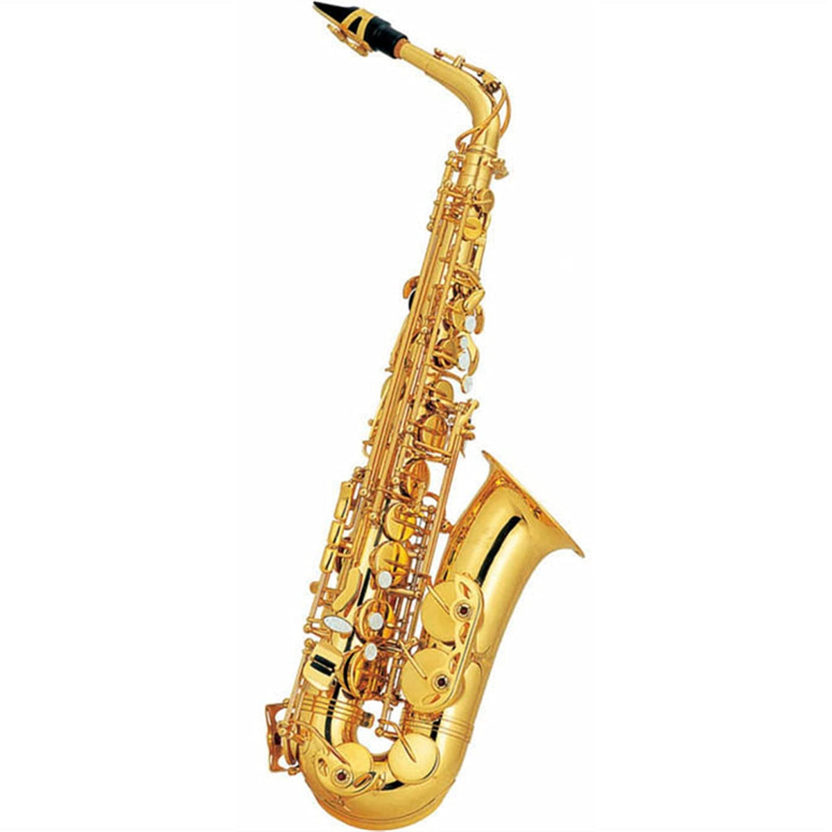 Alto Saxophone Set L24600