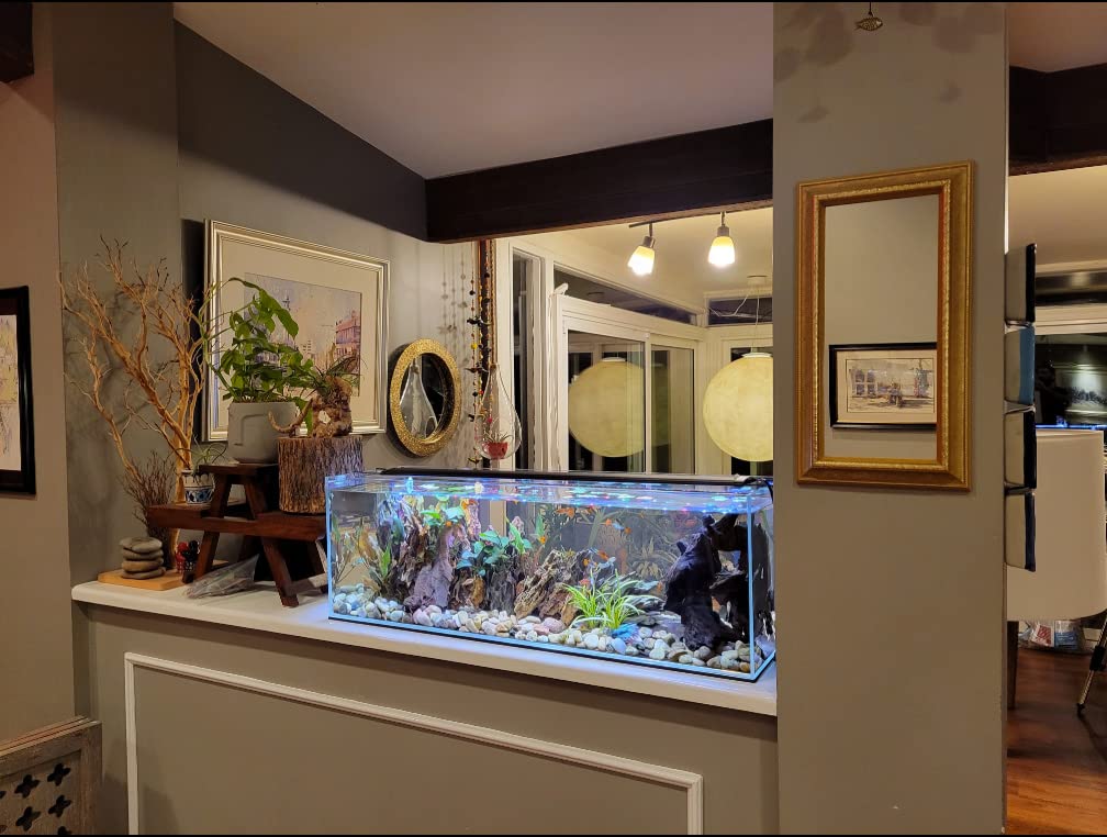 6 Gallon Clear Glass Aquarium D3883
