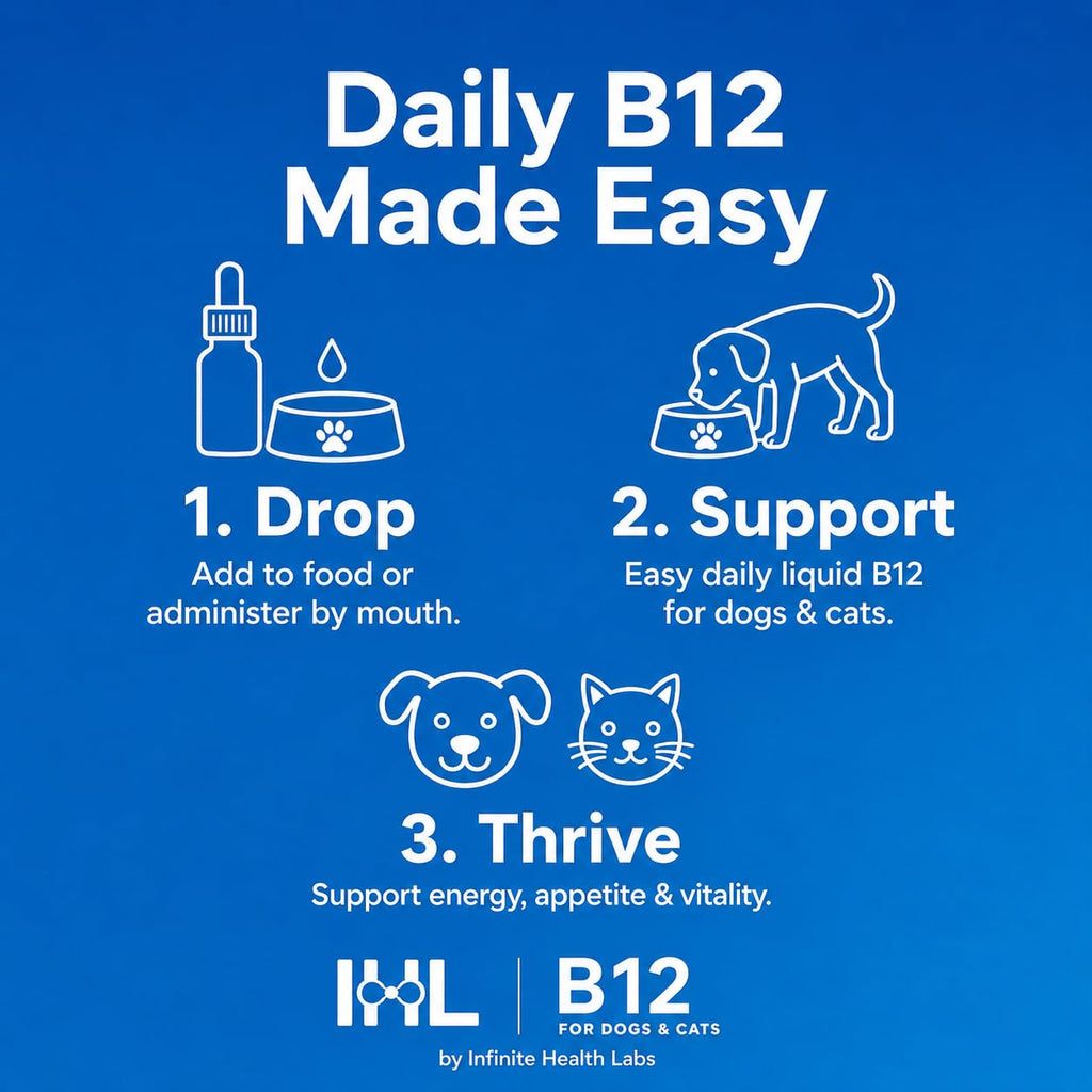 Vitamin B12 for Dogs & Cats, Methylcobalamin, 1 oz I54345