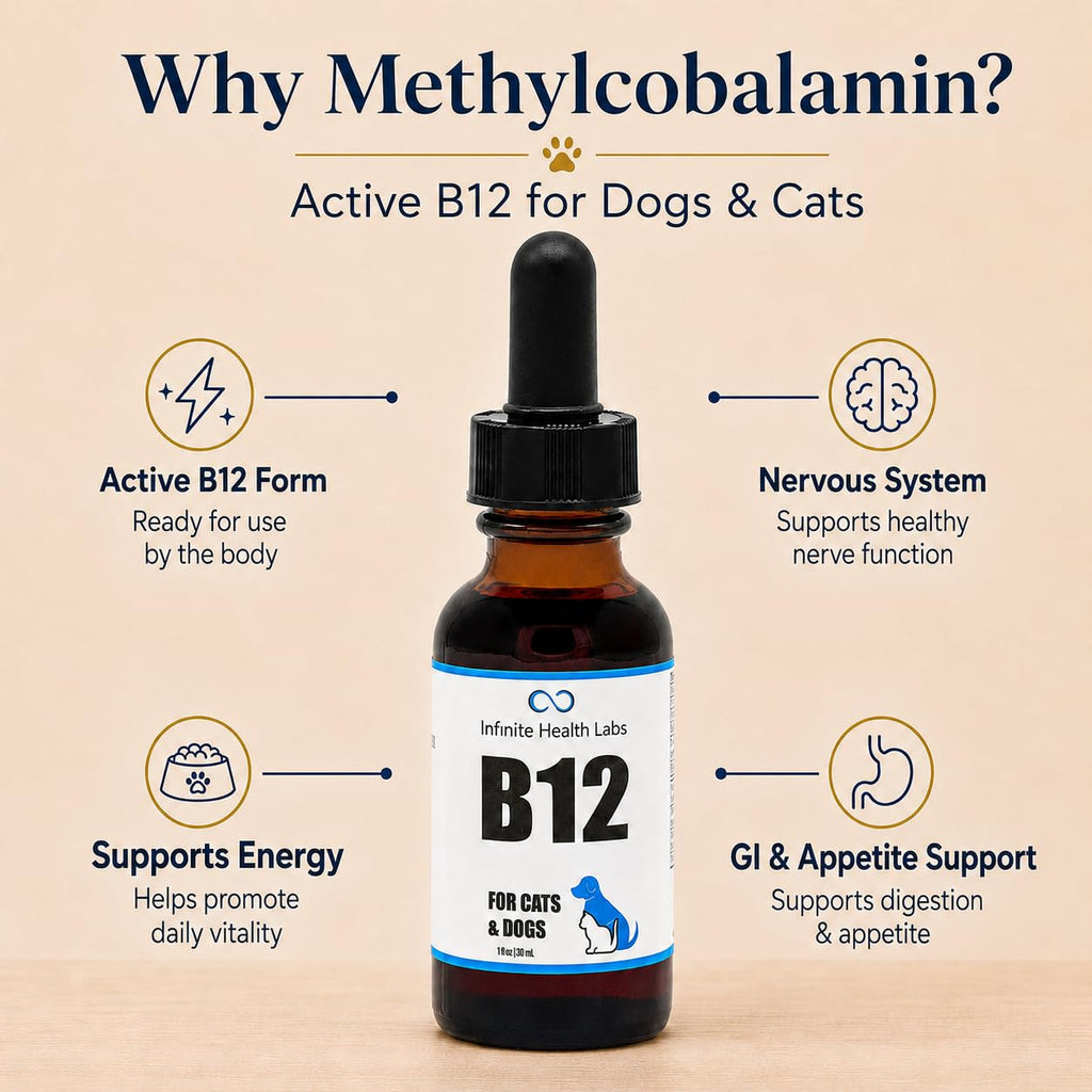 Vitamin B12 for Dogs & Cats, Methylcobalamin, 1 oz I54345