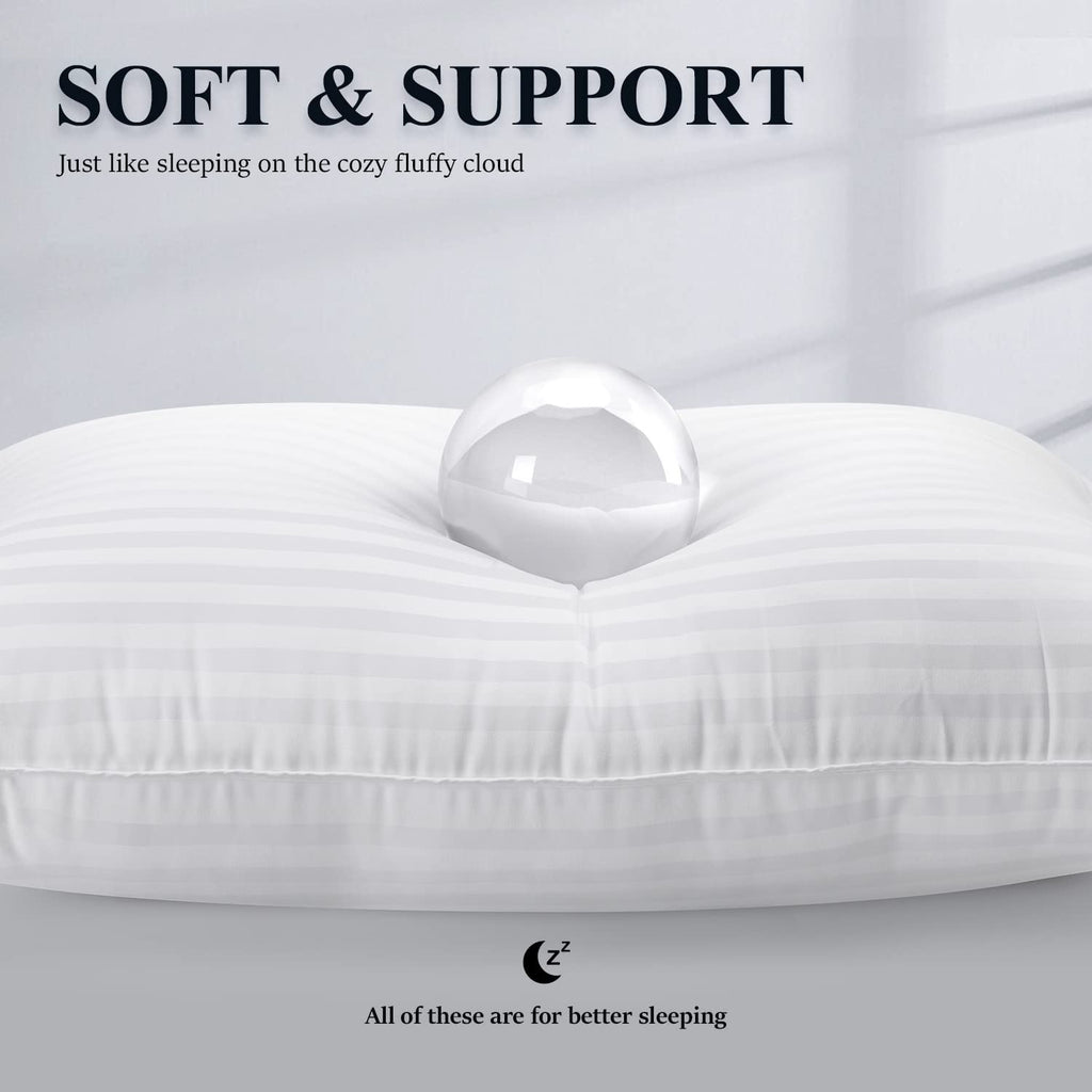 Queen Size Microfiber Bed Pillows Set of 2 O516
