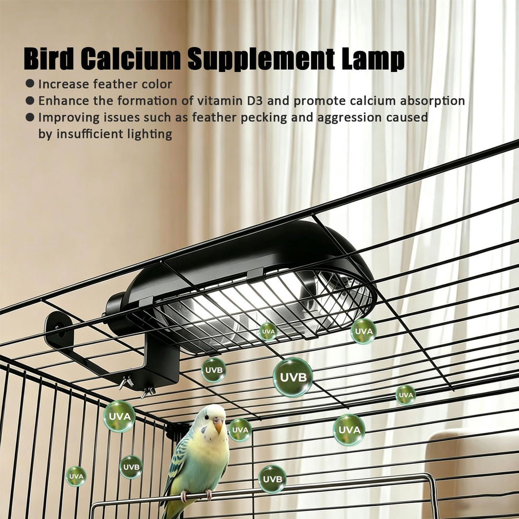 Bird Cage Light Fixture Combo Kit with Bulb Z6540