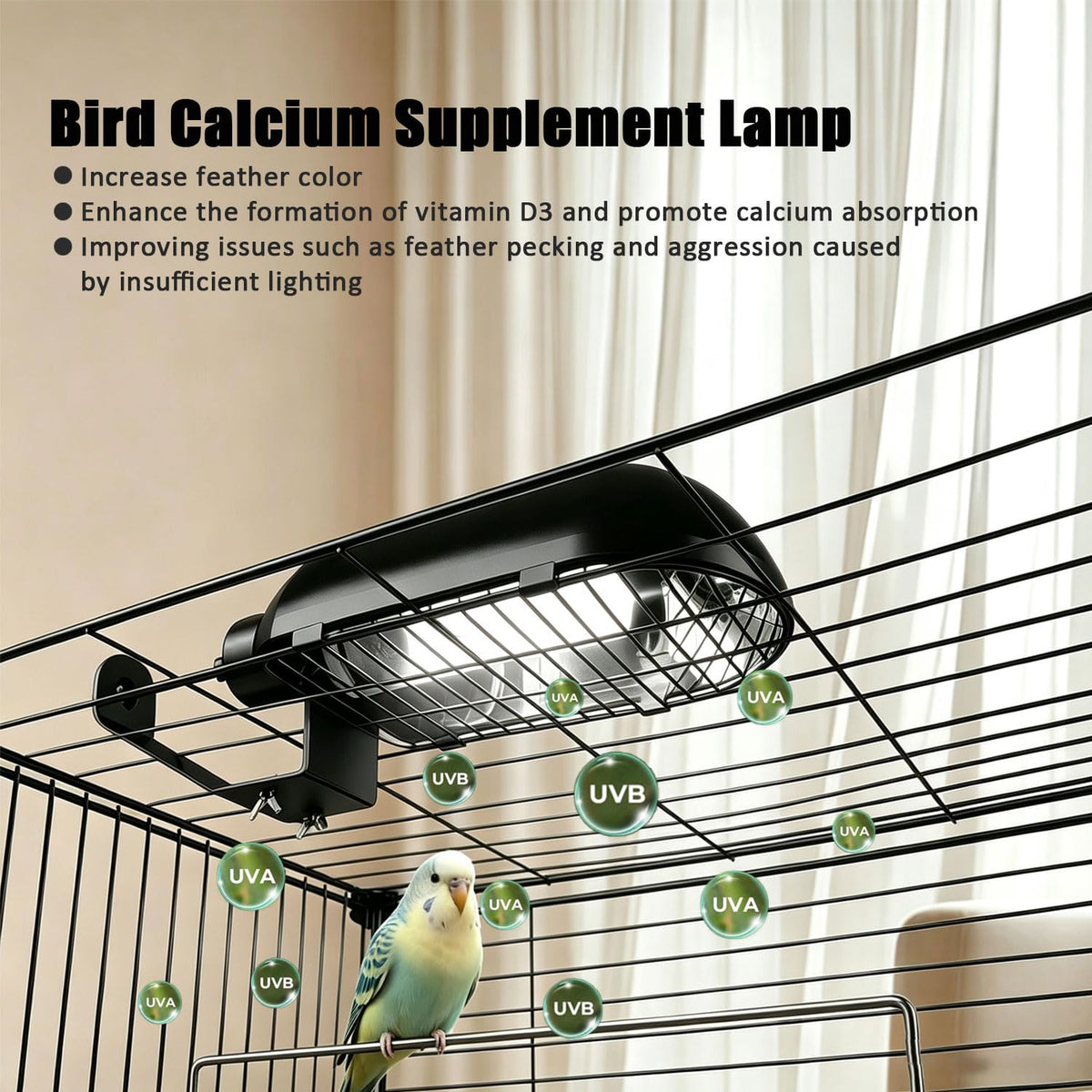 Bird Cage Light Fixture Combo Kit with Bulb Z6540