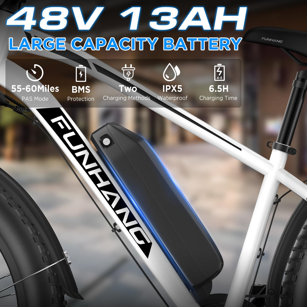 1000W 26" Fat Tire Electric Mountain Bike with 48V 13AH Battery L530