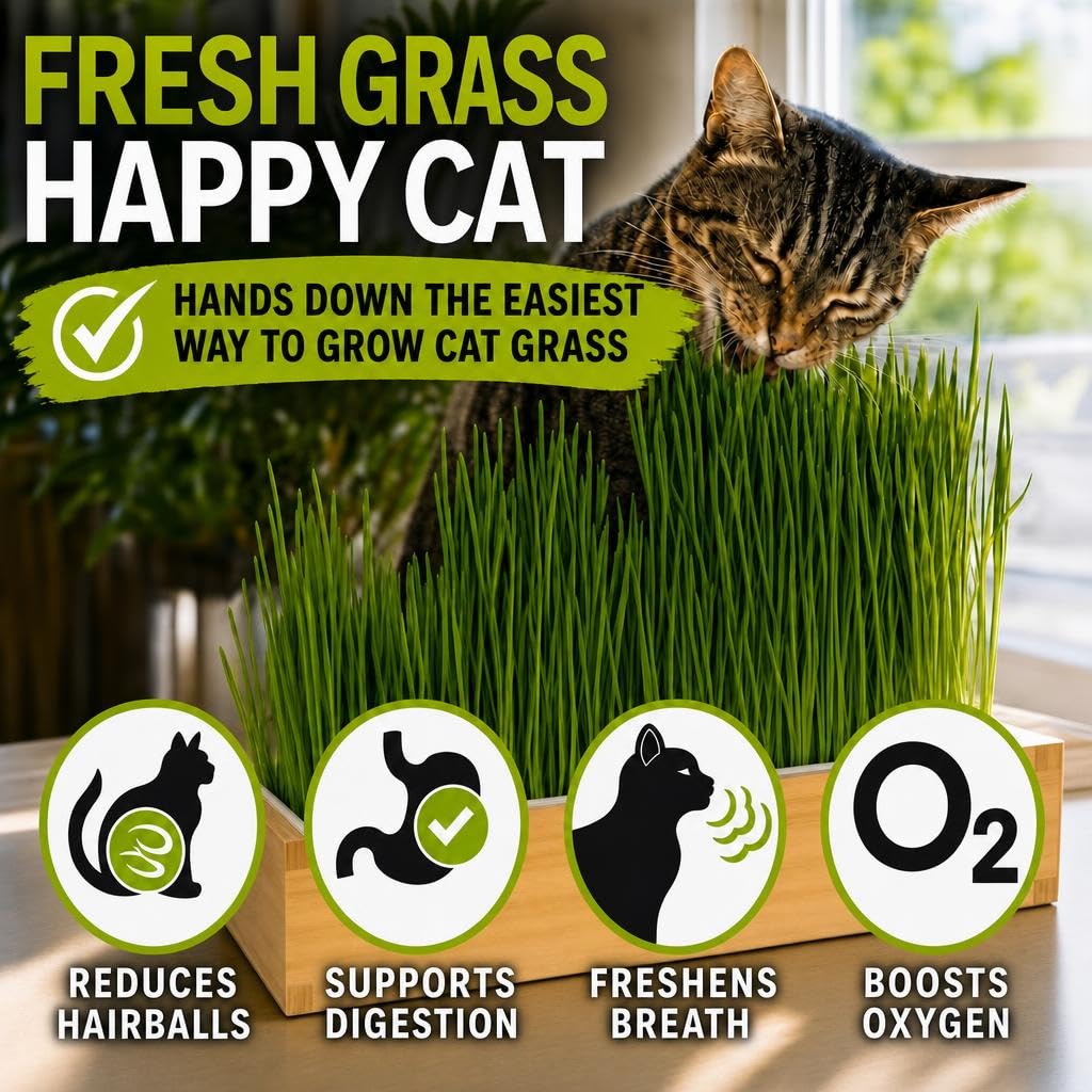 Self-Watering Cat Grass Planter Kit A264111