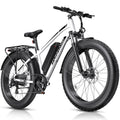 1000W 26" Fat Tire Electric Mountain Bike with 48V 13AH Battery L530