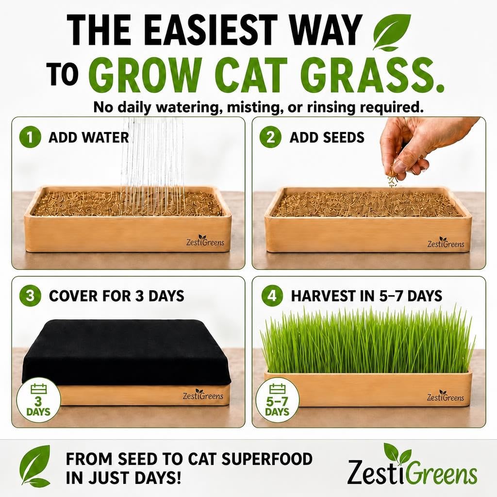 Self-Watering Cat Grass Planter Kit A264111