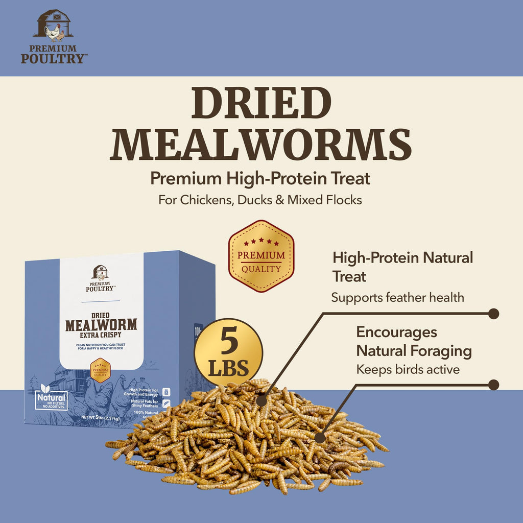Mealworms for Chickens & Wild Birds, 5lb, 4-Pack D45142
