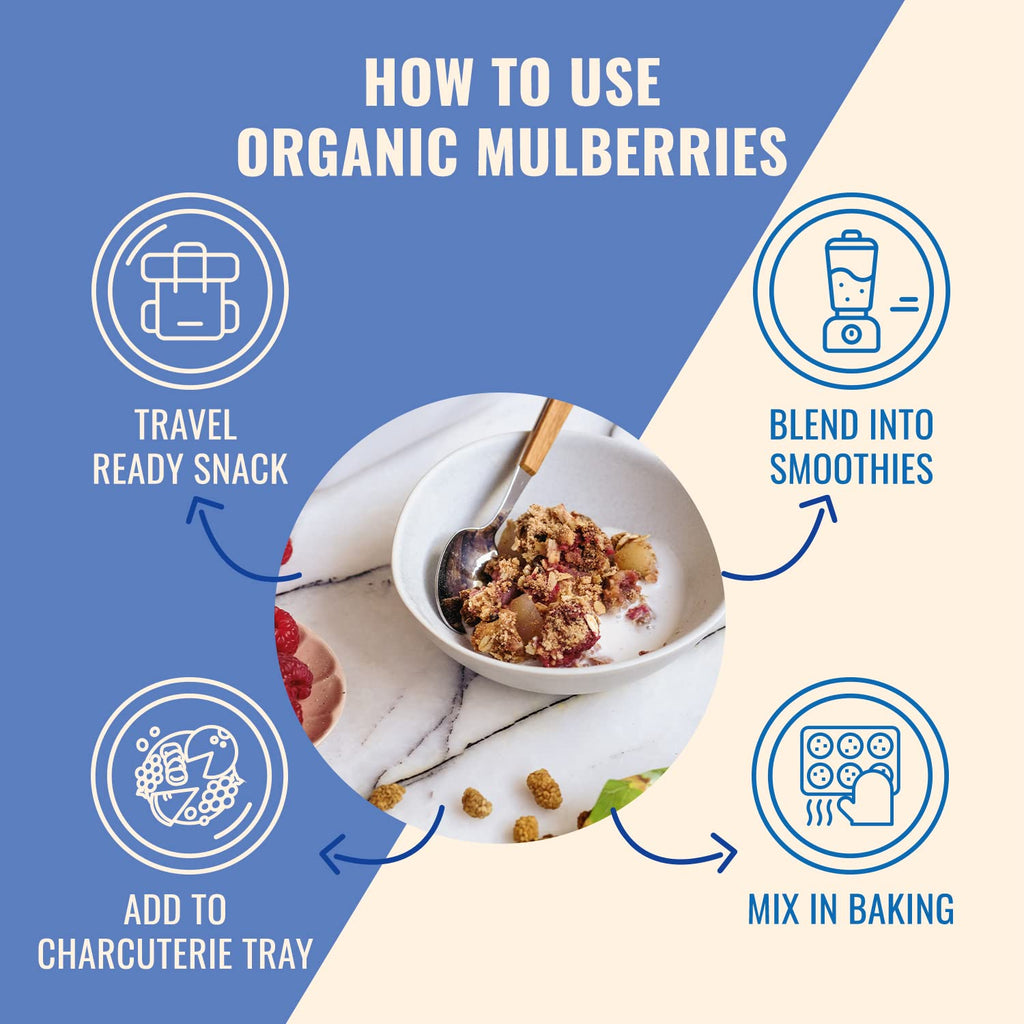 Organic Turkish Dried White Mulberries 3 Bags G2121