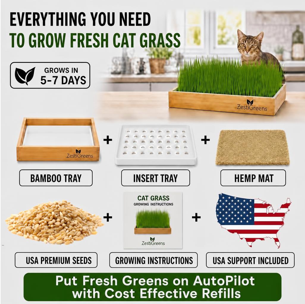Self-Watering Cat Grass Planter Kit A264111
