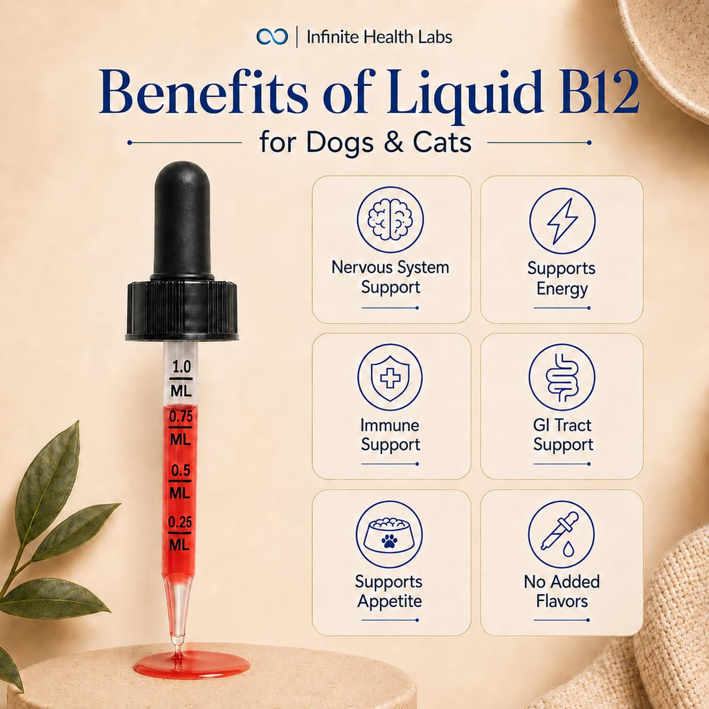 Vitamin B12 for Dogs & Cats, Methylcobalamin, 1 oz I54345