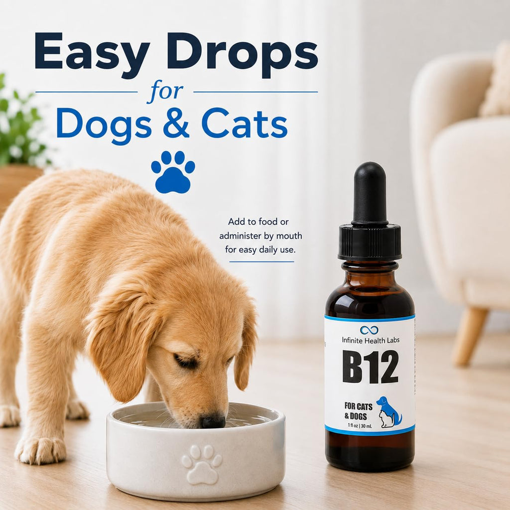 Vitamin B12 for Dogs & Cats, Methylcobalamin, 1 oz I54345