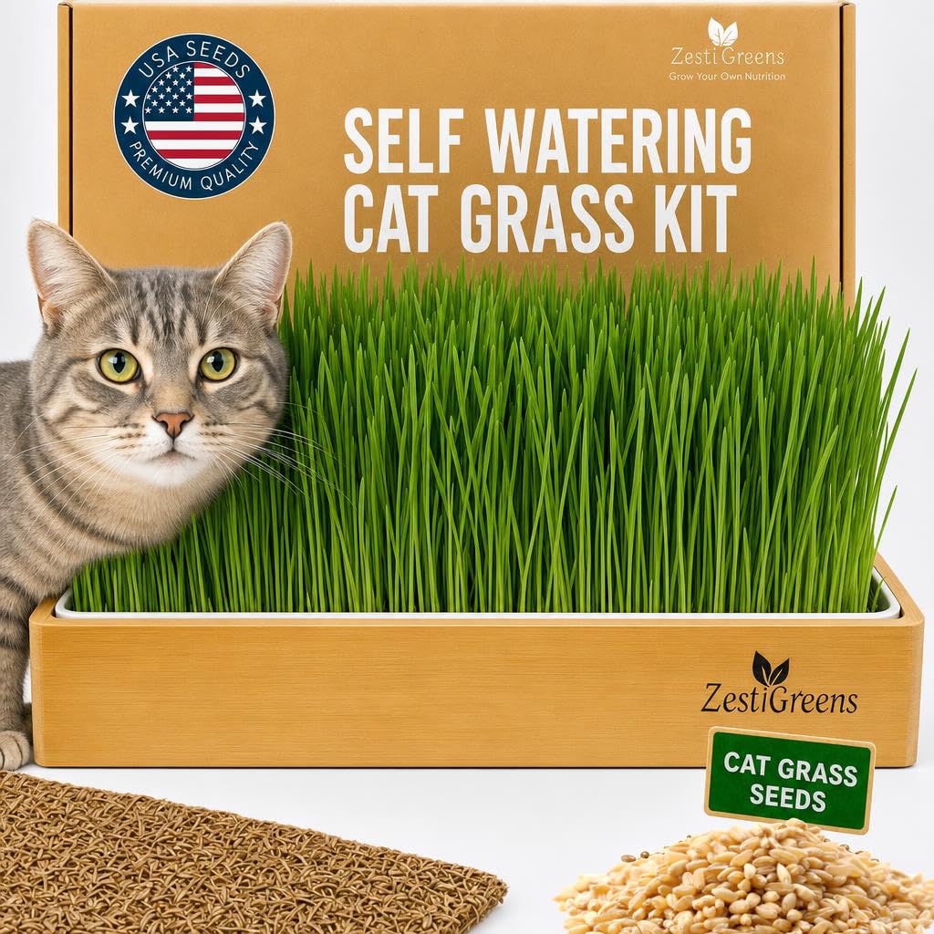 Self-Watering Cat Grass Planter Kit A264111
