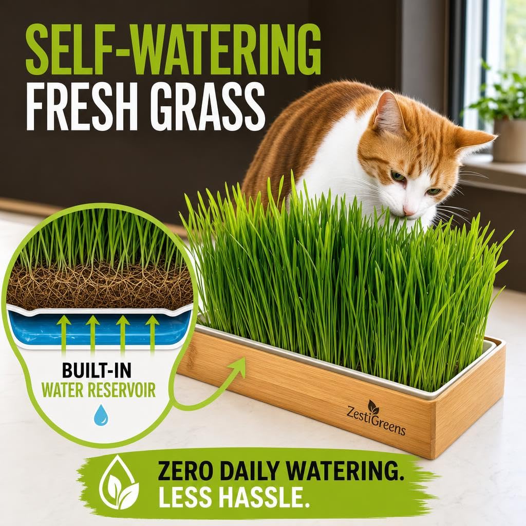 Self-Watering Cat Grass Planter Kit A264111