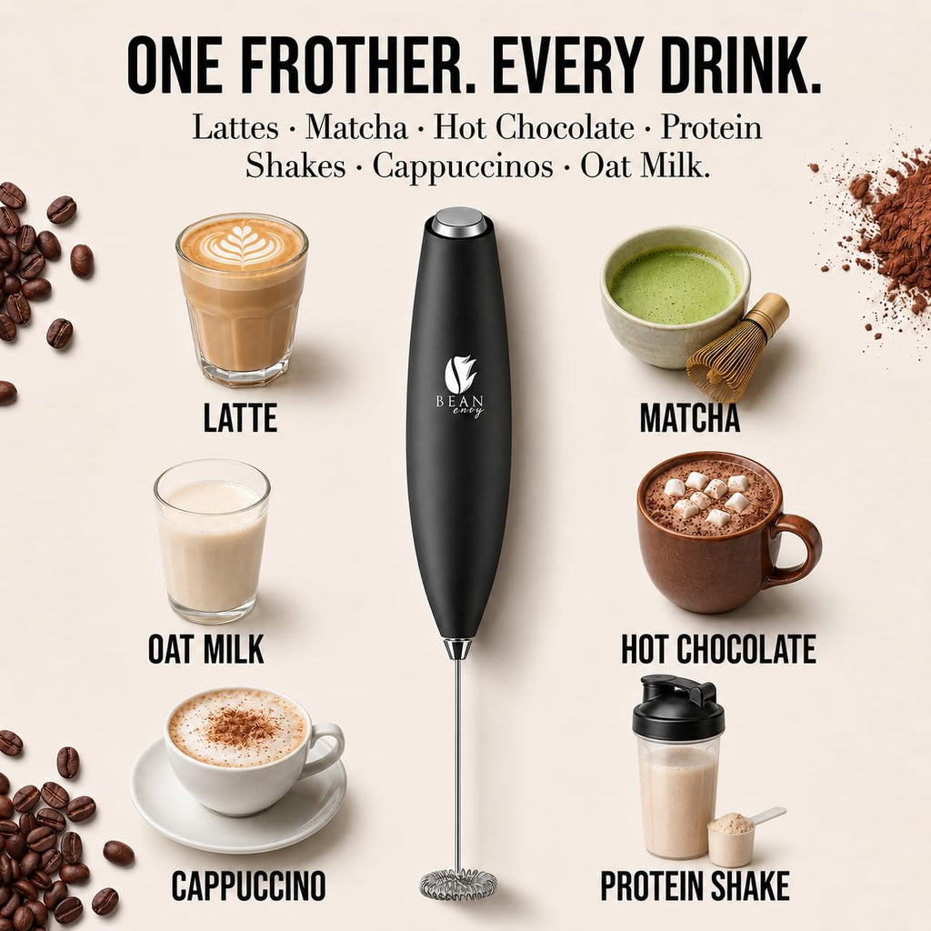Black Handheld Milk Frother P251