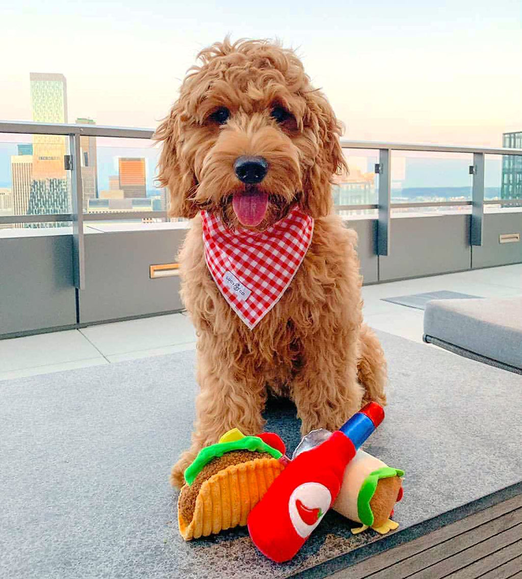 Plush Dog Toys H7000