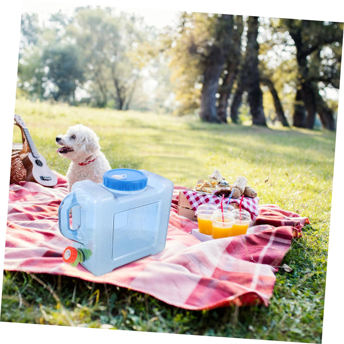 Portable 5L Blue Water Bucket Z362496
