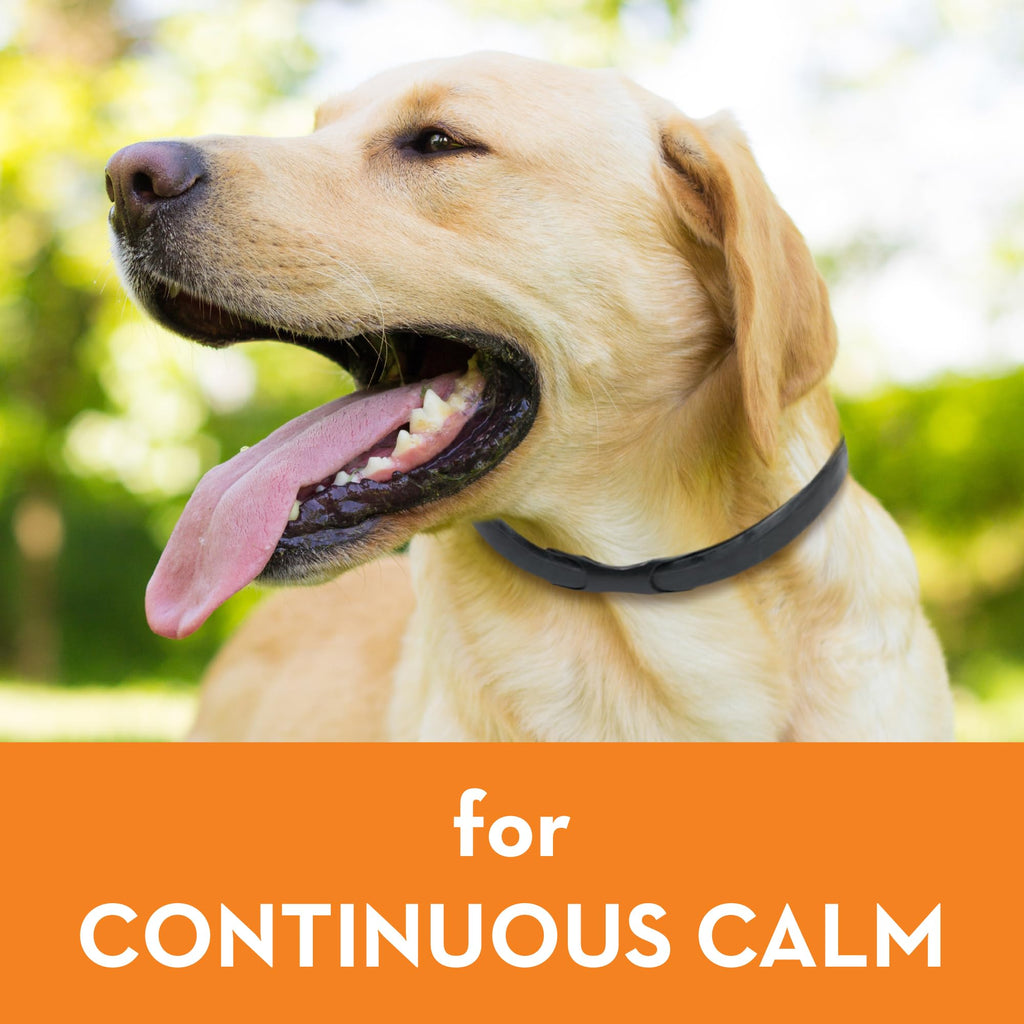Calming Collar for Dogs (Large) Z1718
