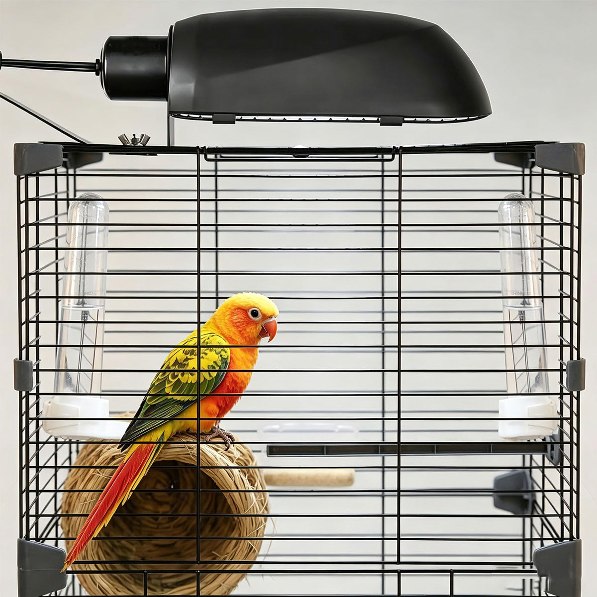 Bird Cage Light Fixture Combo Kit with Bulb Z6540