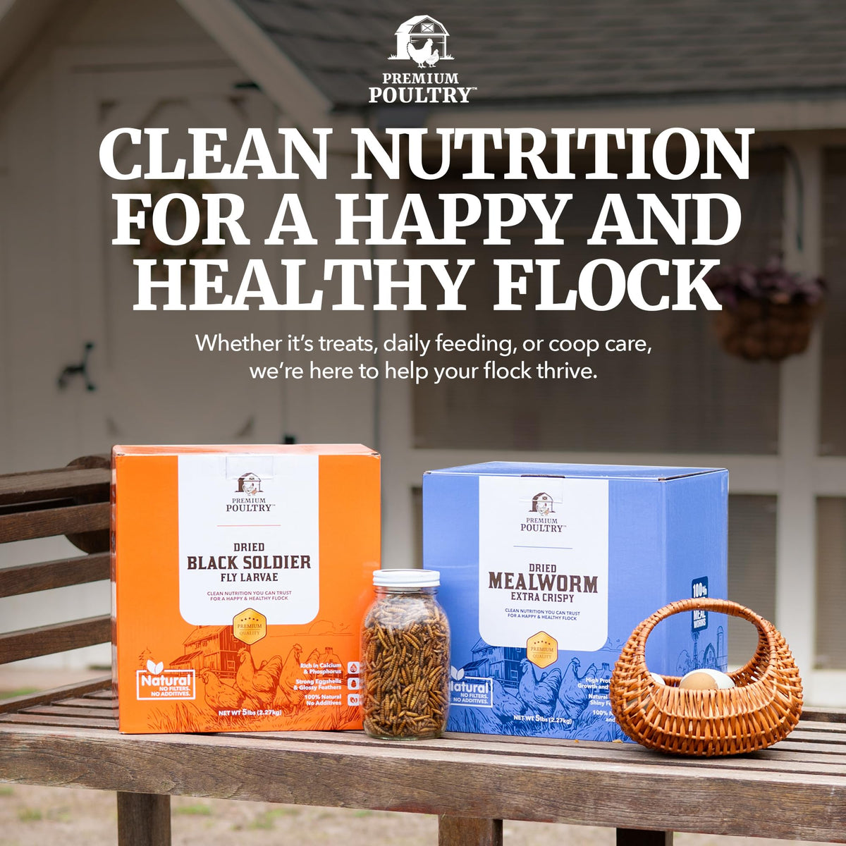 Mealworms for Chickens & Wild Birds, 5lb, 4-Pack D45142