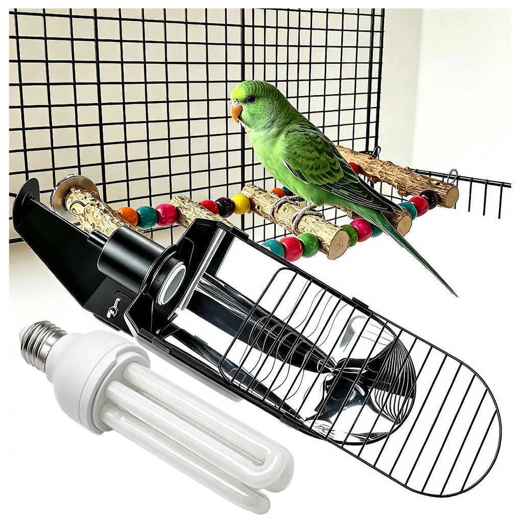 Bird Cage Light Fixture Combo Kit with Bulb Z6540