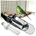 Bird Cage Light Fixture Combo Kit with Bulb Z6540