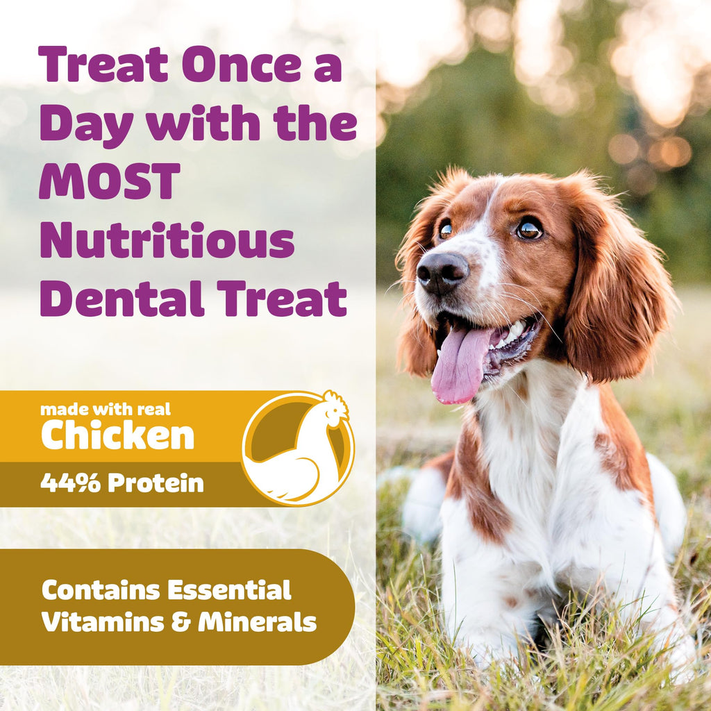 Chicken Dog Dental Treats 24oz & 36 oz D7226