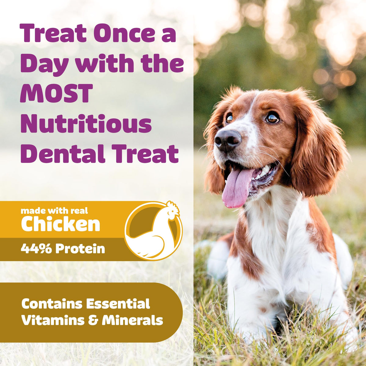 Chicken Dog Dental Treats 24oz & 36 oz D7226