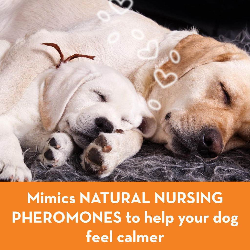 Calming Collar for Dogs (Large) Z1718