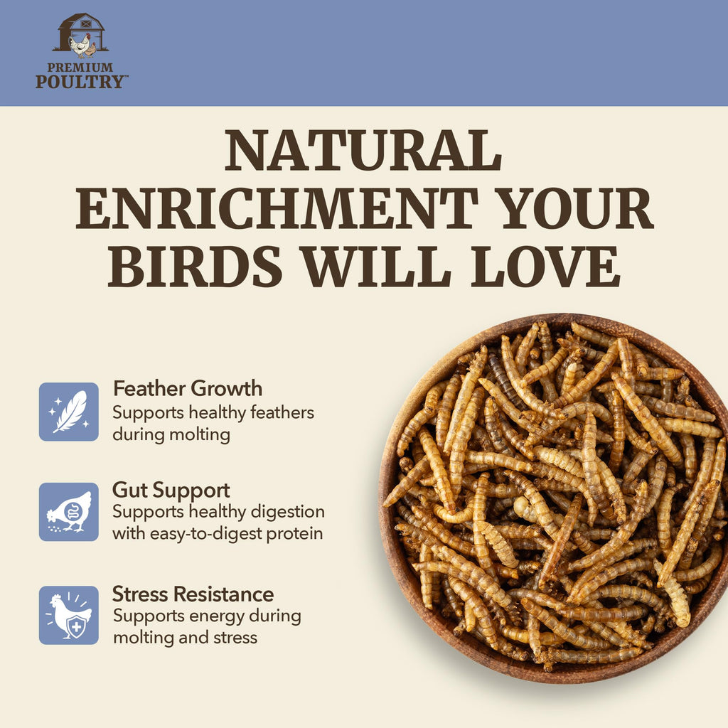 Mealworms for Chickens & Wild Birds, 5lb, 4-Pack D45142