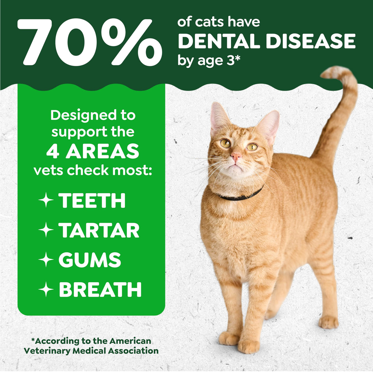 Catnip Flavor Dental Cat Treats 4.6 oz I9743
