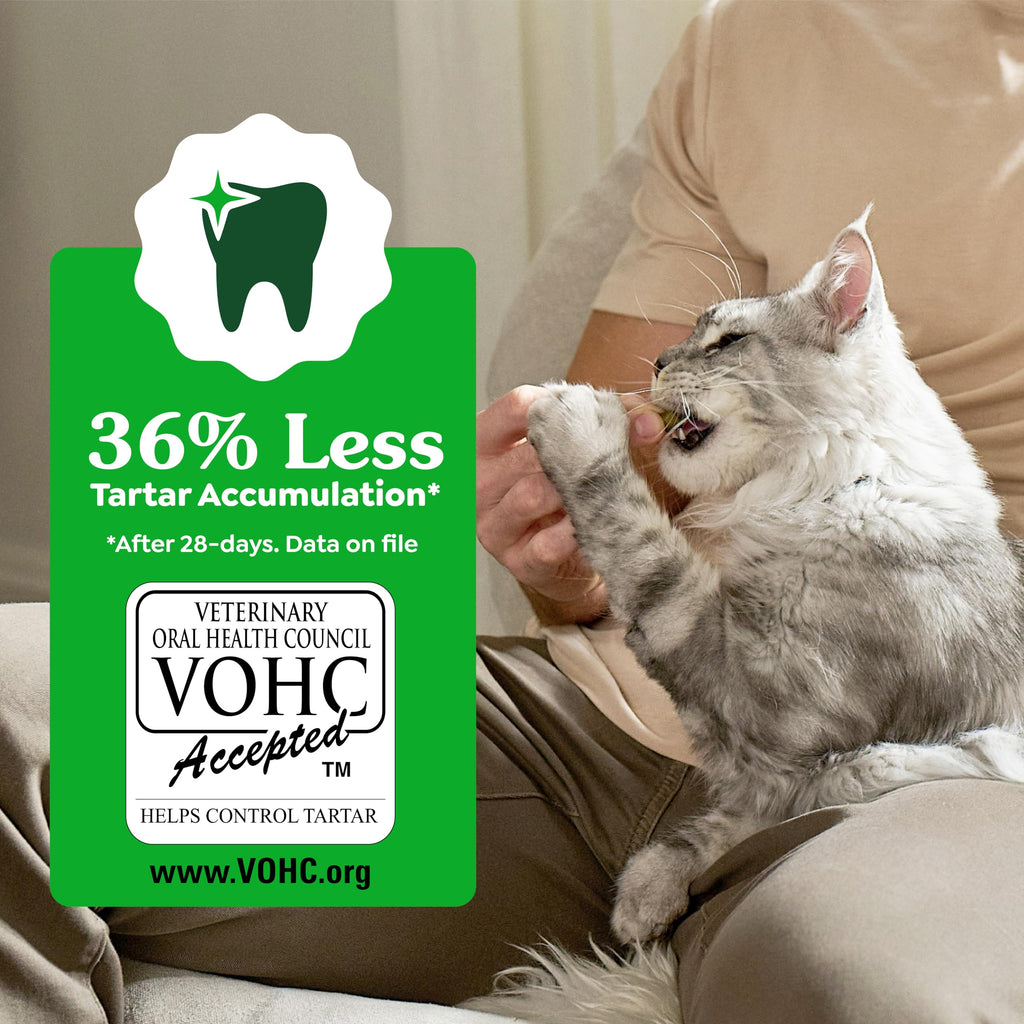 Catnip Flavor Dental Cat Treats 4.6 oz I9743