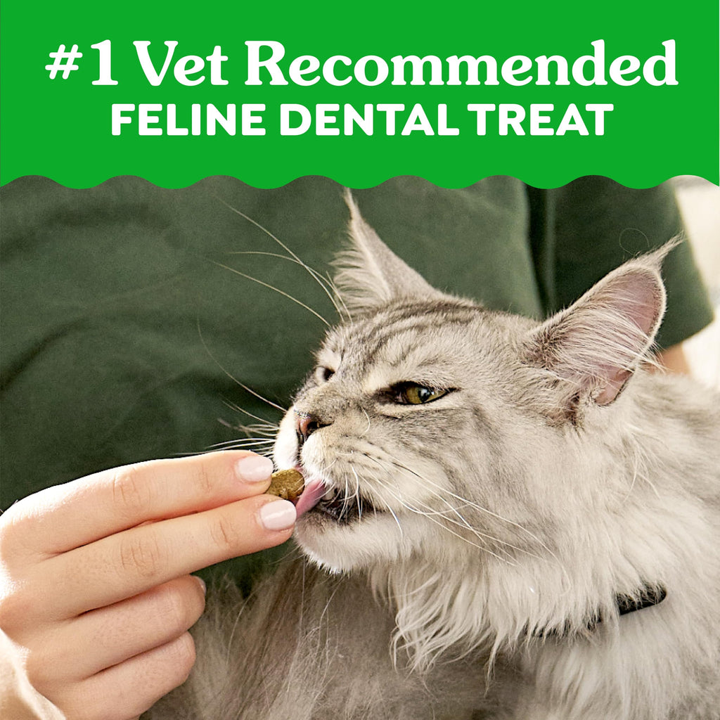 Catnip Flavor Dental Cat Treats 4.6 oz I9743