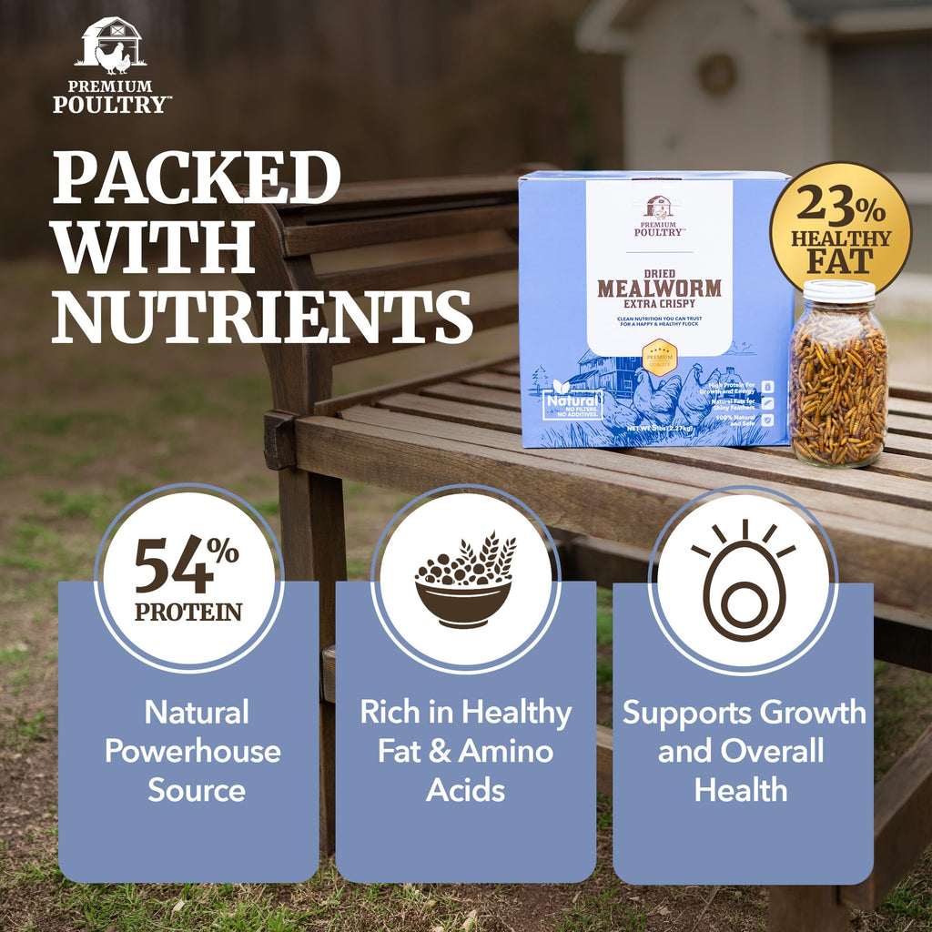 Mealworms for Chickens & Wild Birds, 5lb, 4-Pack D45142