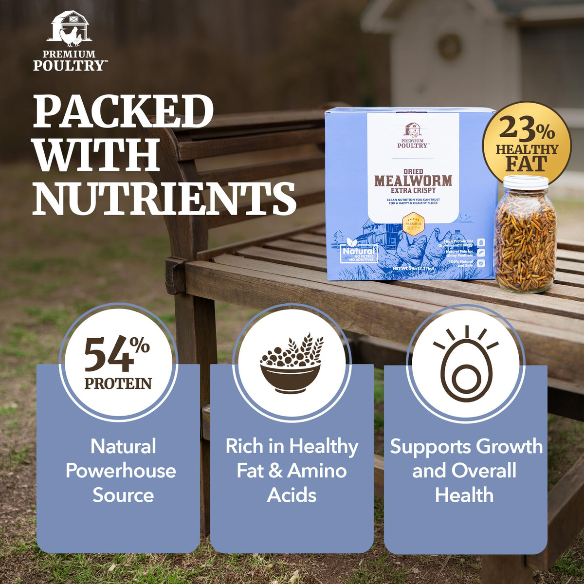 Mealworms for Chickens & Wild Birds, 5lb, 4-Pack D45142