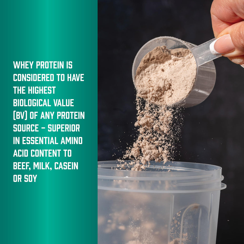 Whey Protein Isolate 25 g With BCAAs Chocolate 5 lbs X10432
