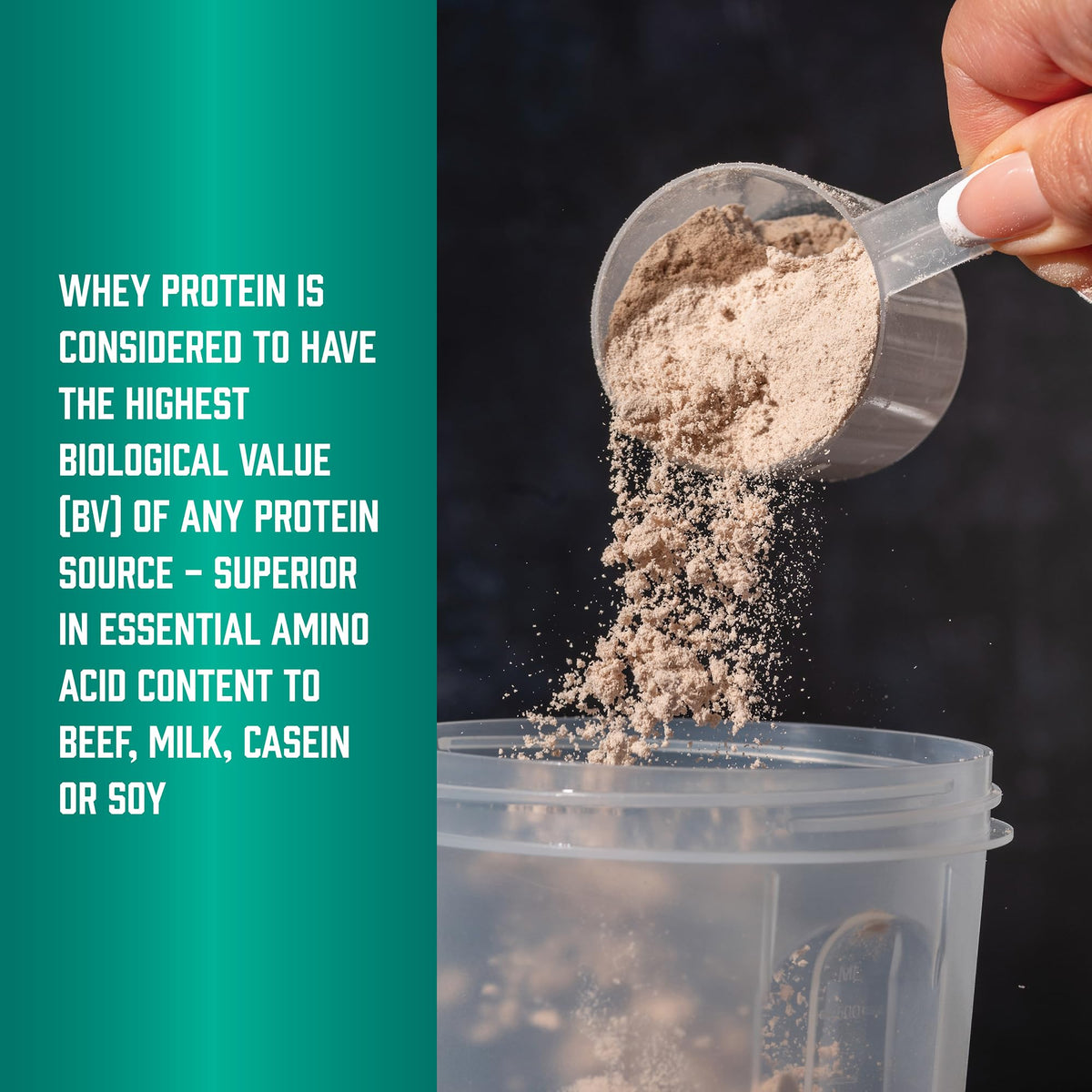 Whey Protein Isolate 25 g With BCAAs Chocolate 5 lbs X10432