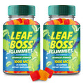 Hemp Gummies 2 Pack C7199