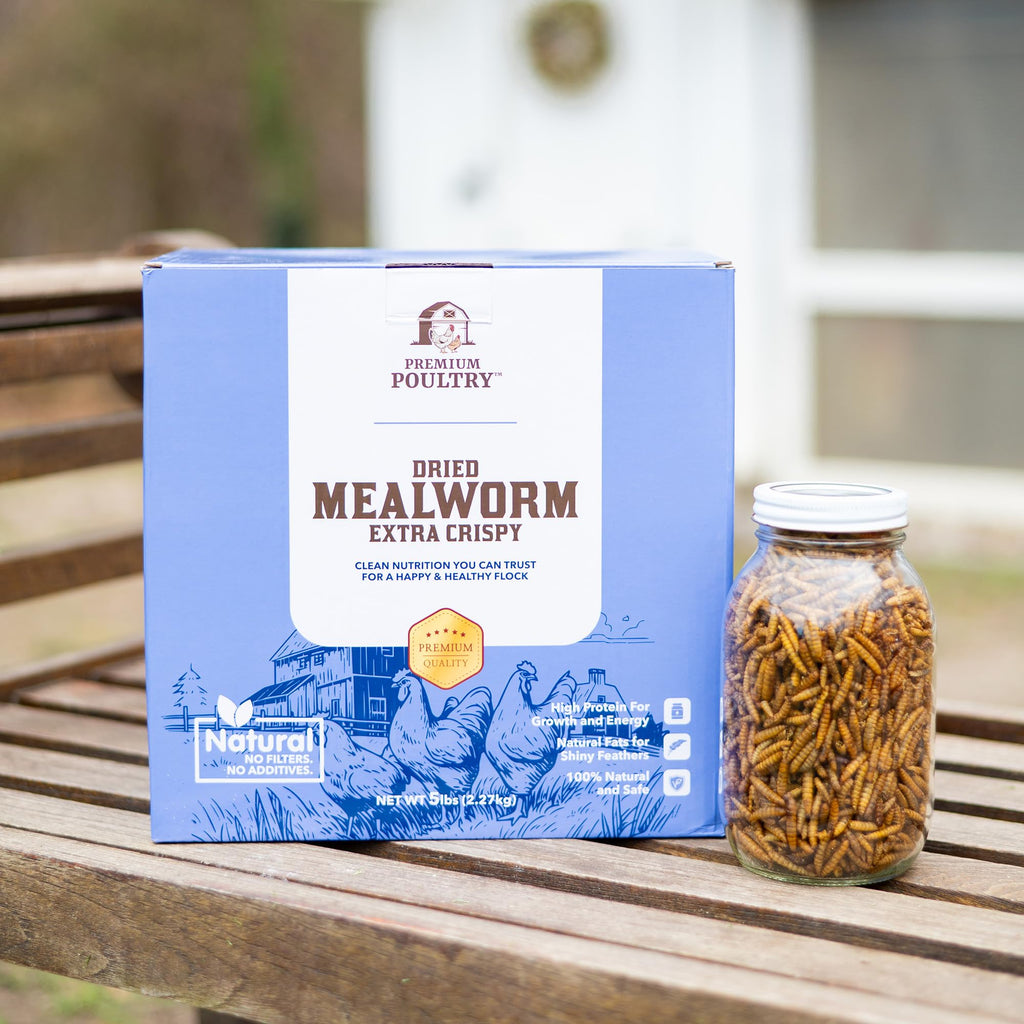 Mealworms for Chickens & Wild Birds, 5lb, 4-Pack D45142