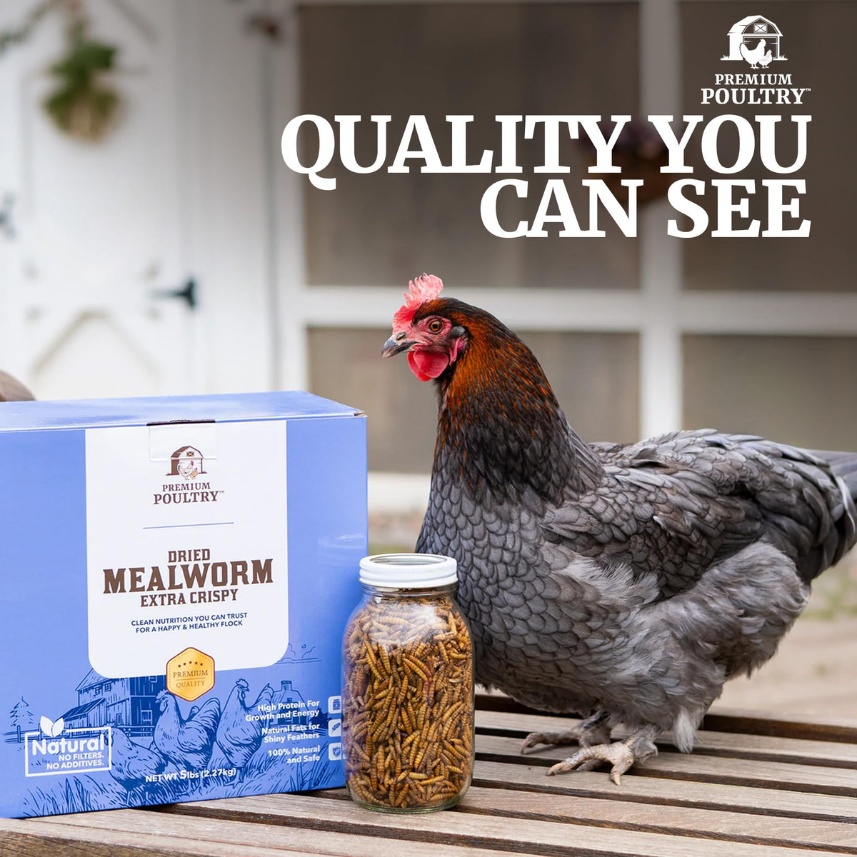 Mealworms for Chickens & Wild Birds, 5lb, 4-Pack D45142
