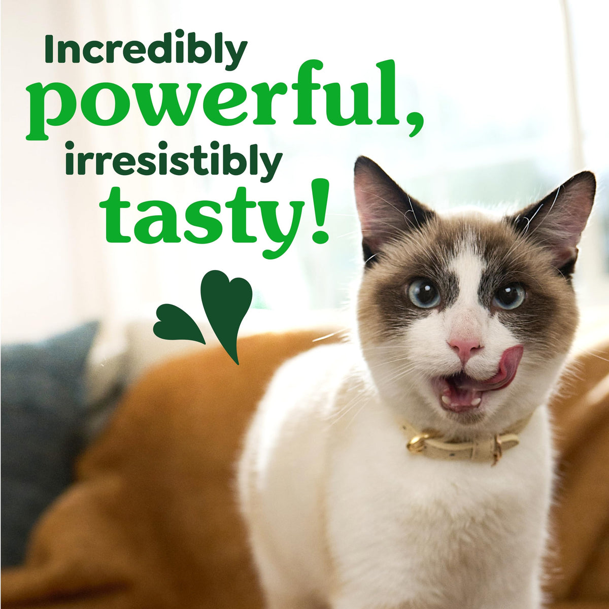 Catnip Flavor Dental Cat Treats 4.6 oz I9743