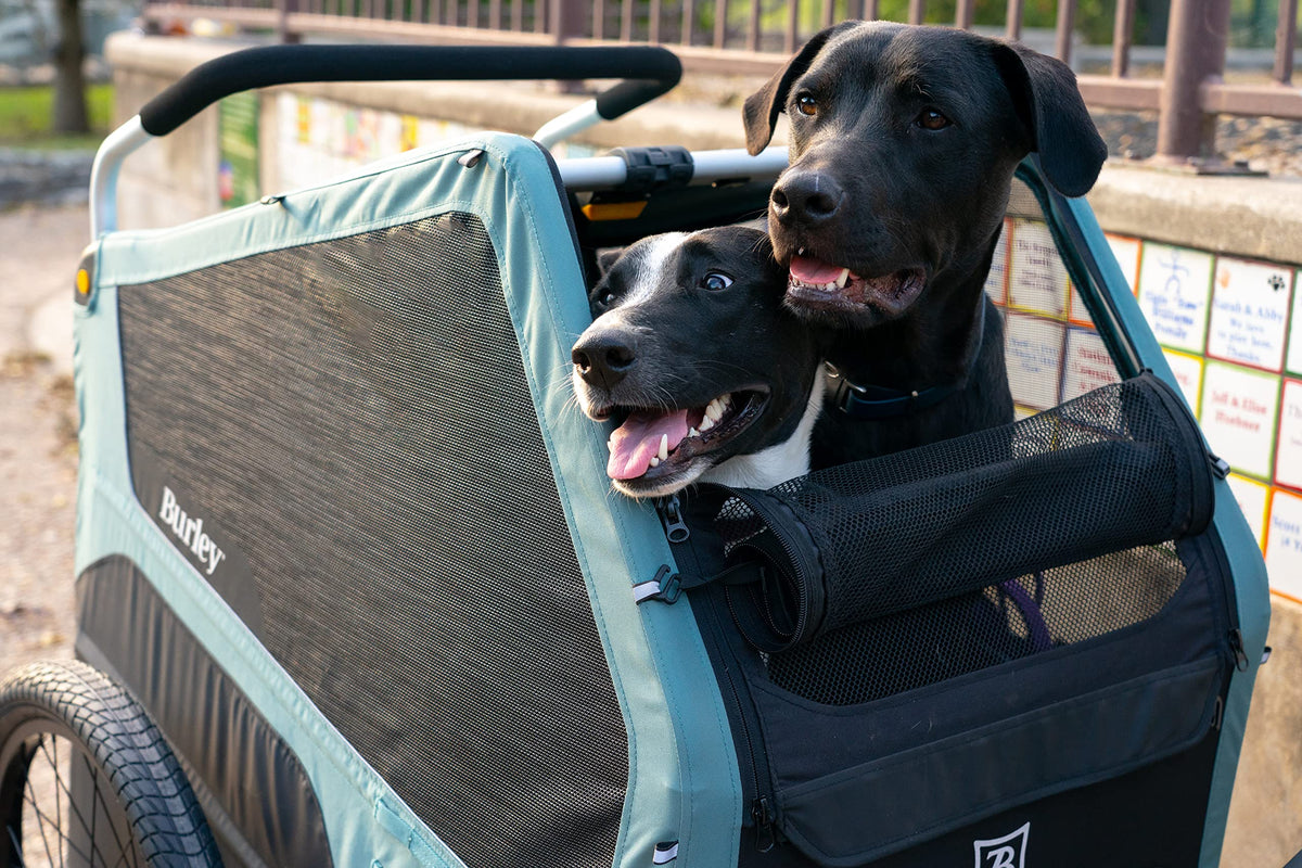 Pet Bike Trailer G5128