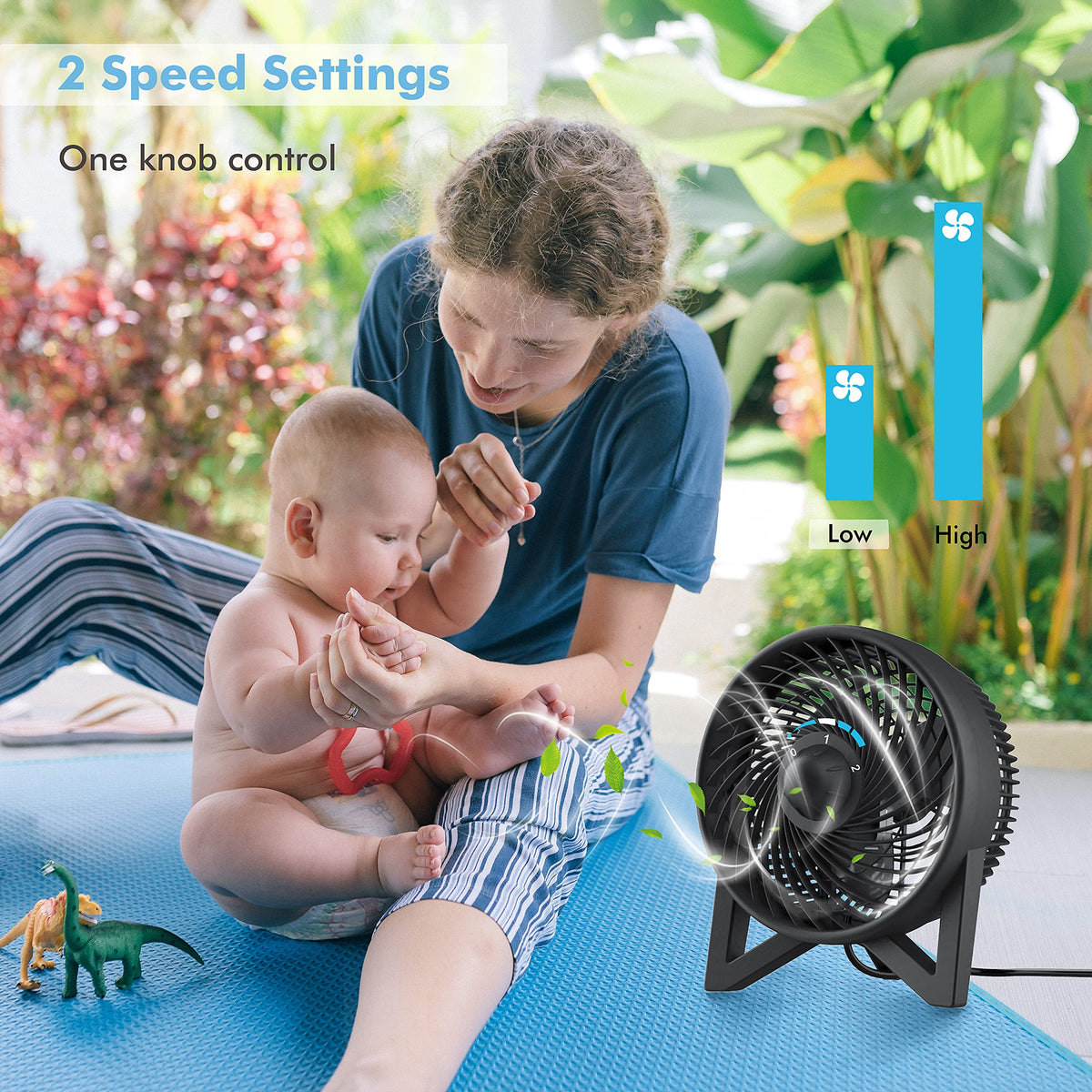 8 Inch Portable Quiet Desk Fan with 2 Speeds, Black B157