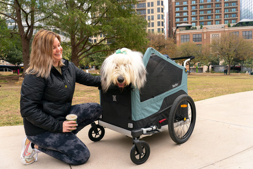 Pet Bike Trailer G5128