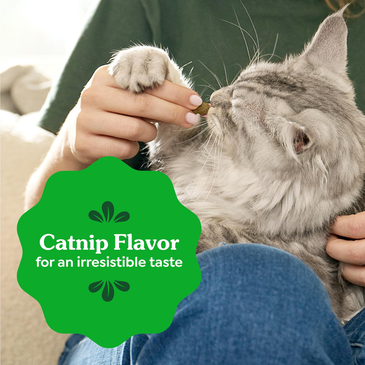 Catnip Flavor Dental Cat Treats 4.6 oz I9743